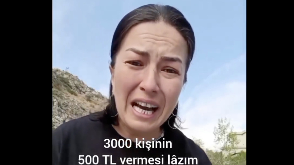 Sözde hayvansever, canlı yayında 1,5 milyon lira toplayamadı: Sinir krizine girdi Sözde hayvansever, canlı yayında 1,5 milyon lira toplayamadı: Sinir krizine girdi