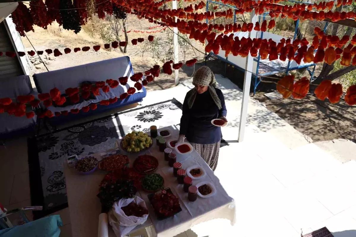 Emekli Eşinin Yanında Bahçesinde Reçel Üretiyor Emekli Eşinin Yanında Bahçesinde Reçel Üretiyor