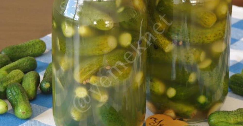 Sirkesiz Limonsuz Kornişon Turşusu Sirkesiz Limonsuz Kornişon Turşusu