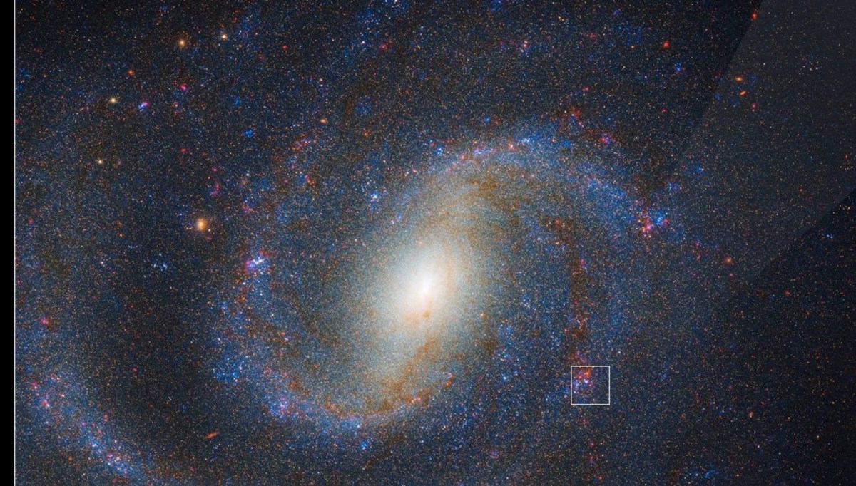 James Webb Teleskobu patlamanın eşiğindeki süper devi gözlemledi: Yıllar süren gizem çözülüyor James Webb Teleskobu patlamanın eşiğindeki süper devi gözlemledi: Yıllar süren gizem çözülüyor