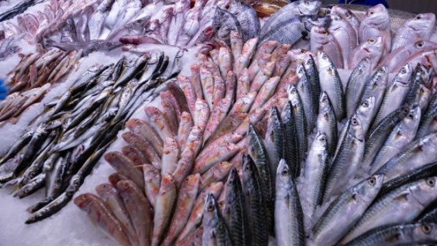 Metro Türkiye ile Yeni Balık Sezonunda Taze Lezzetler Metro Türkiye ile Yeni Balık Sezonunda Taze Lezzetler