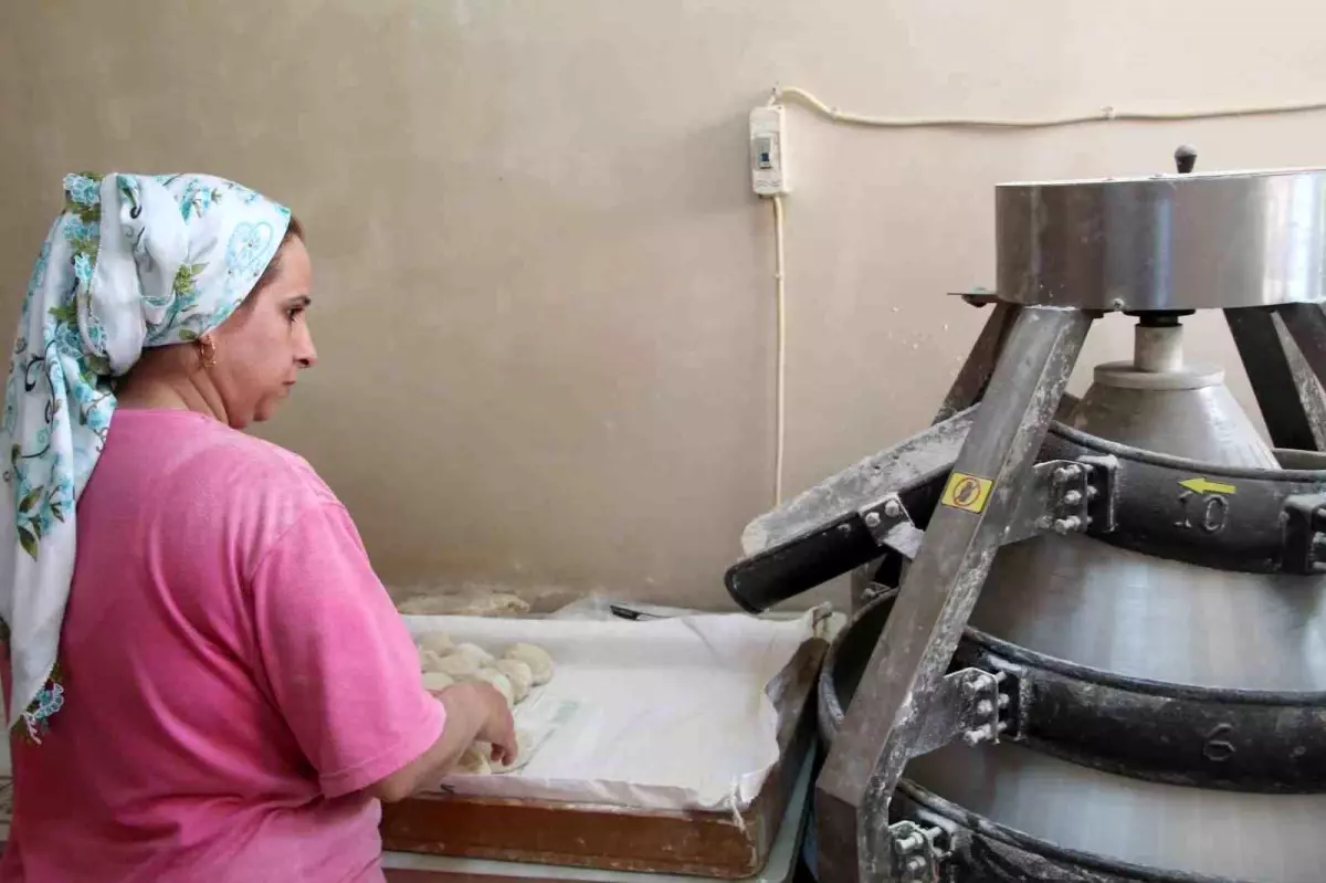 Şırnak’ta Kadınların Ekmek Serüveni Büyüyor